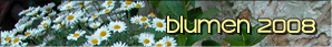 Schottenhof - Bilder Blumen 2008